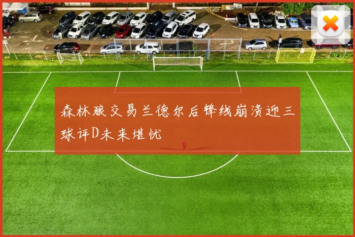 森林狼交易兰德尔后锋线崩溃迎三球评D未来堪忧