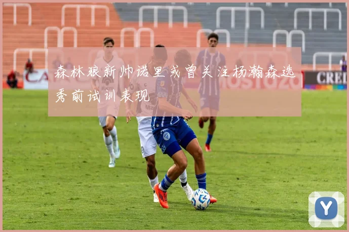 森林狼新帅诺里或曾关注杨瀚森选秀前试训表现